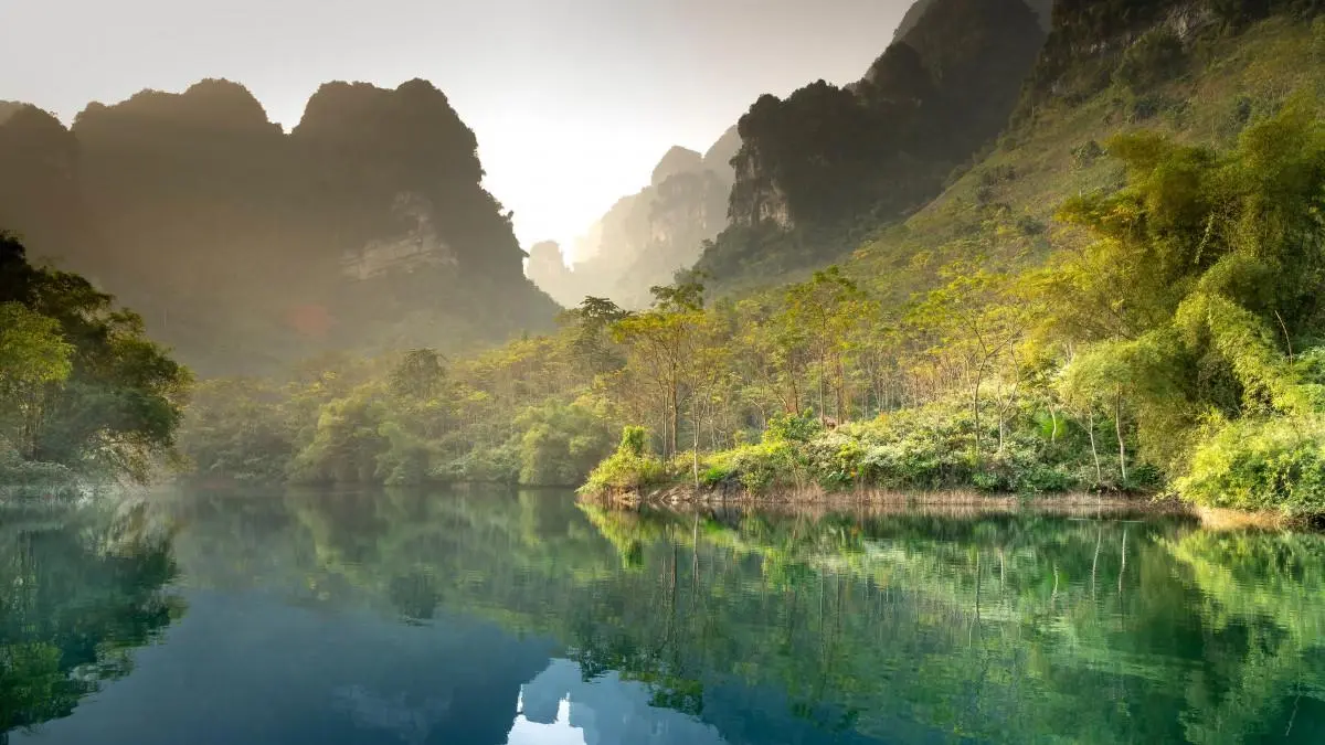 高效高端
